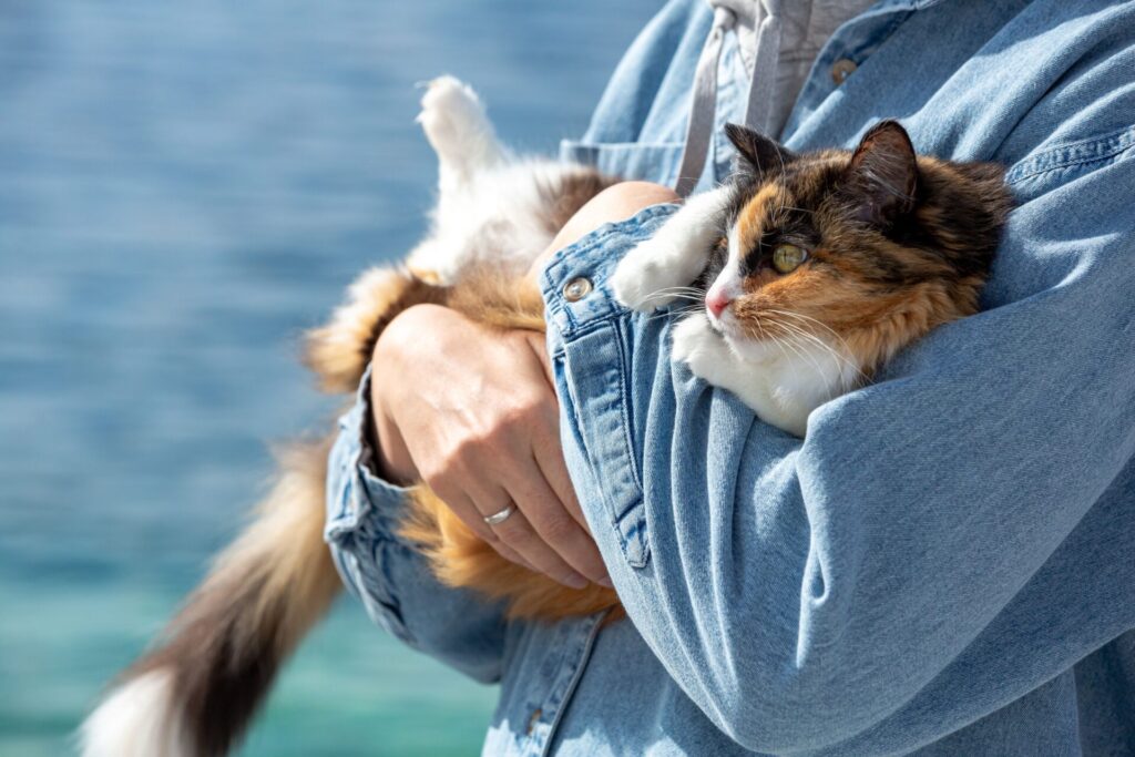 Woman holding her cat while reflecting on caregiving, grief, and health advocacy.